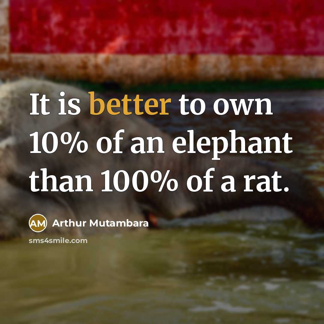 “It is better to own 10% of an elephant than 100% of a rat.” quote by Arthur Mutambara