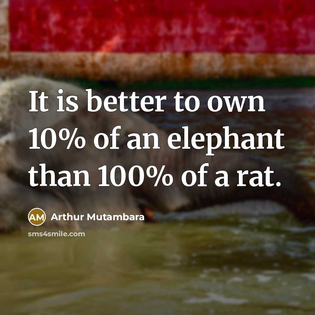“It is better to own 10% of an elephant than…” quote by Arthur Mutambara