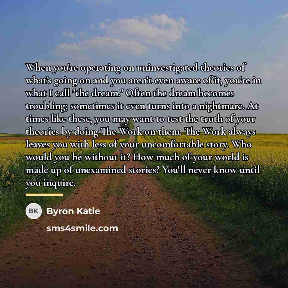 “When you're operating on uninvestigated theories of what's going on…” quote by Byron Katie