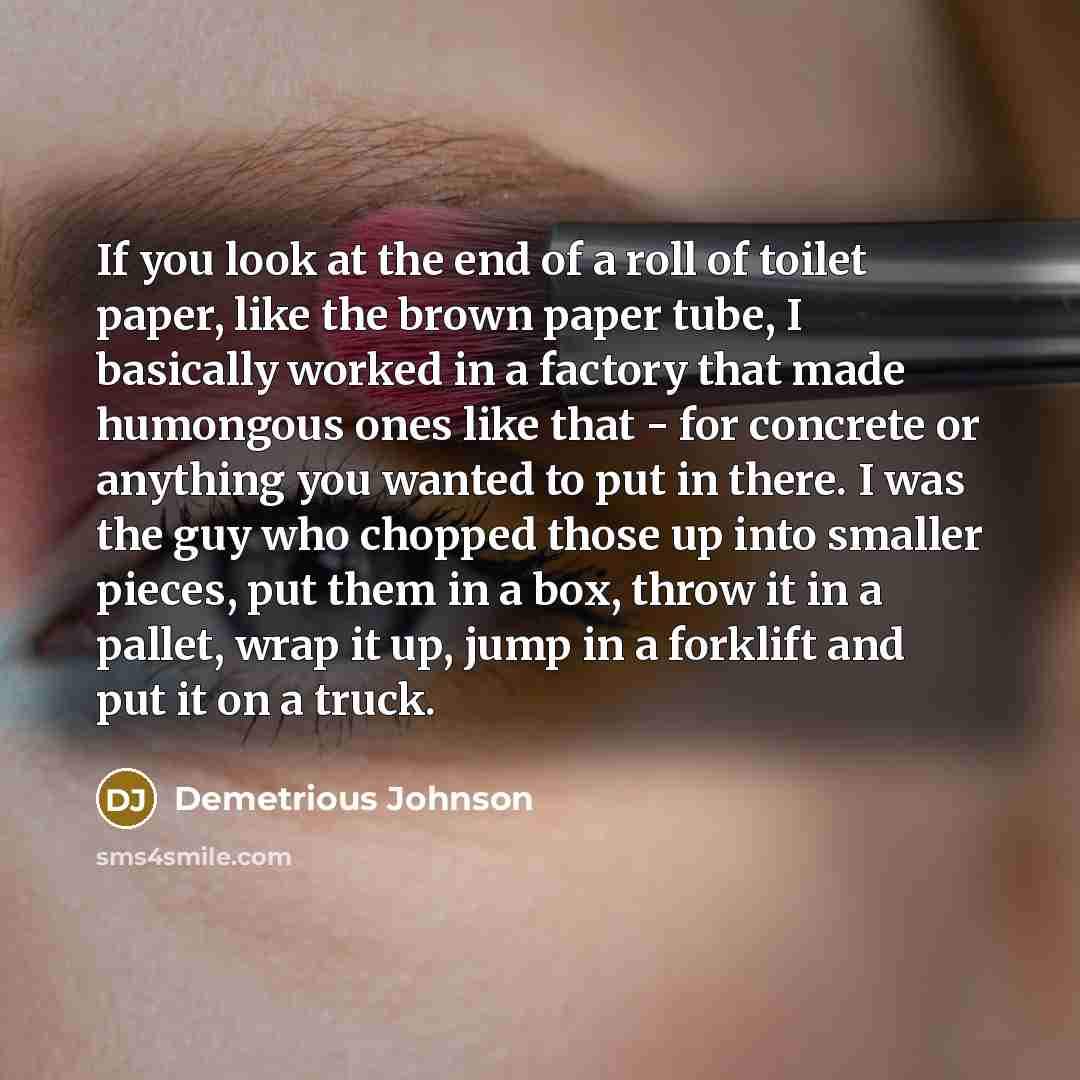 “If you look at the end of a roll of…” quote by Demetrious Johnson