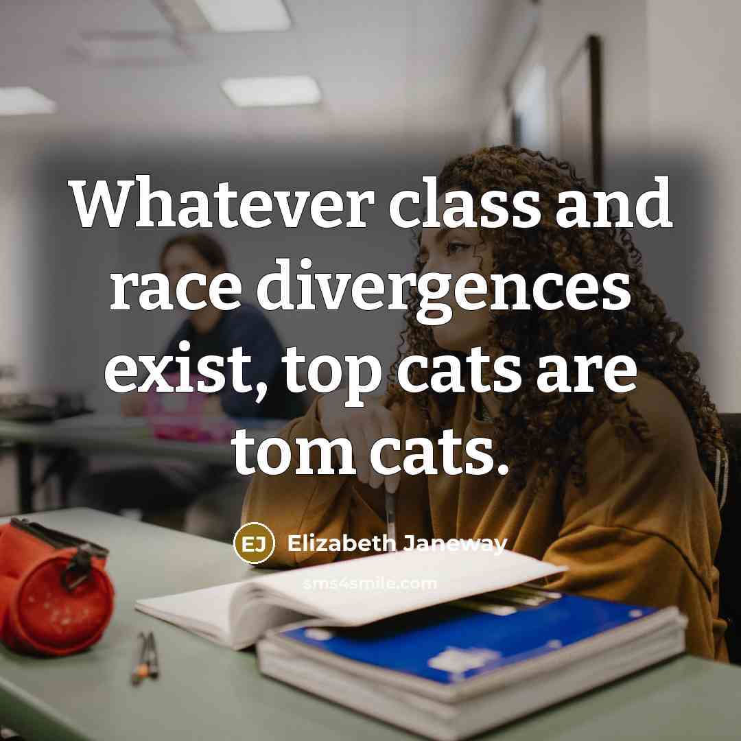 “Whatever class and race divergences exist, top cats are tom…” quote by Elizabeth Janeway