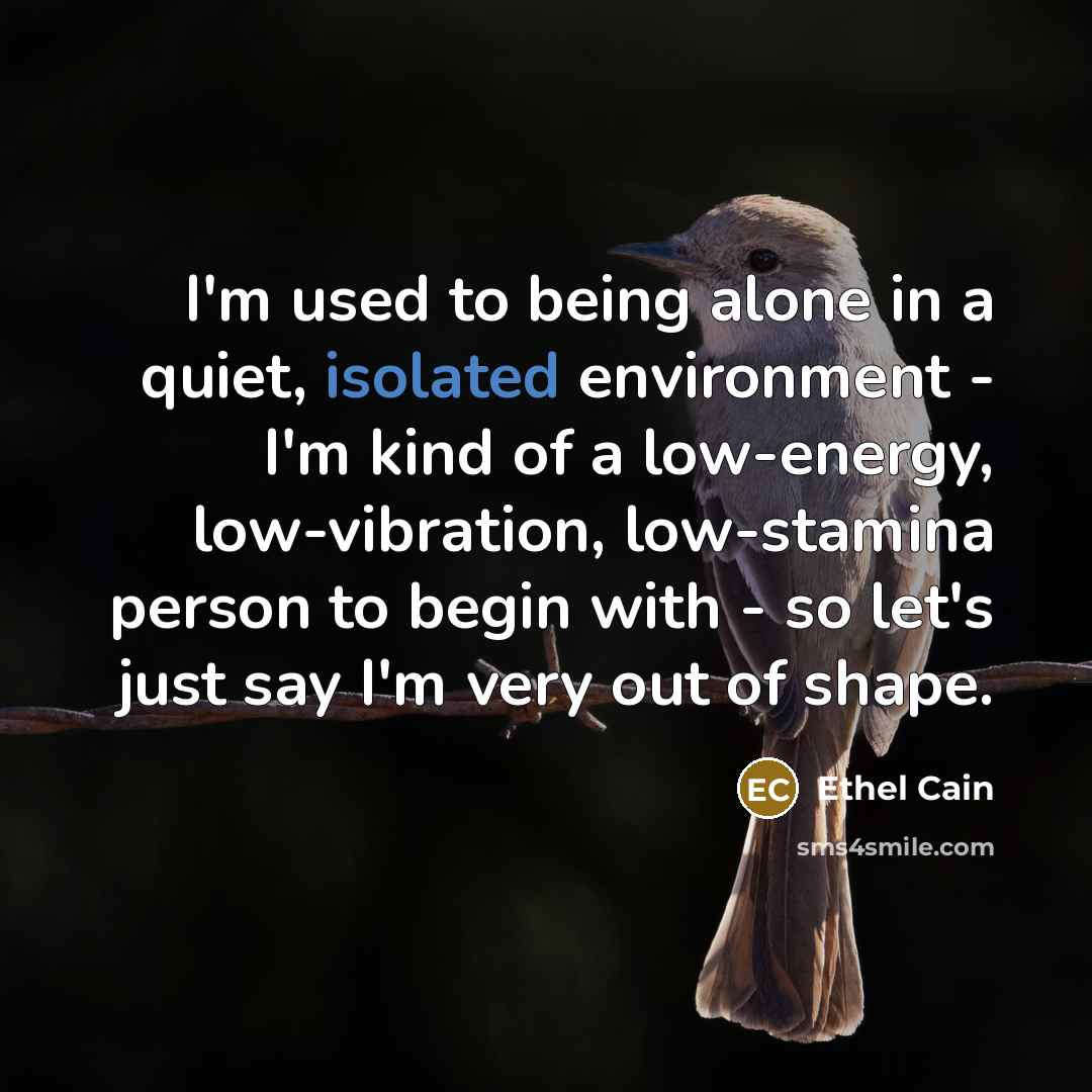 “I'm used to being alone in a quiet, isolated environment…” quote by Ethel Cain