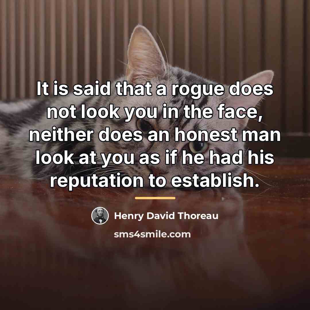 “It is said that a rogue does not look you…” quote by Henry David Thoreau