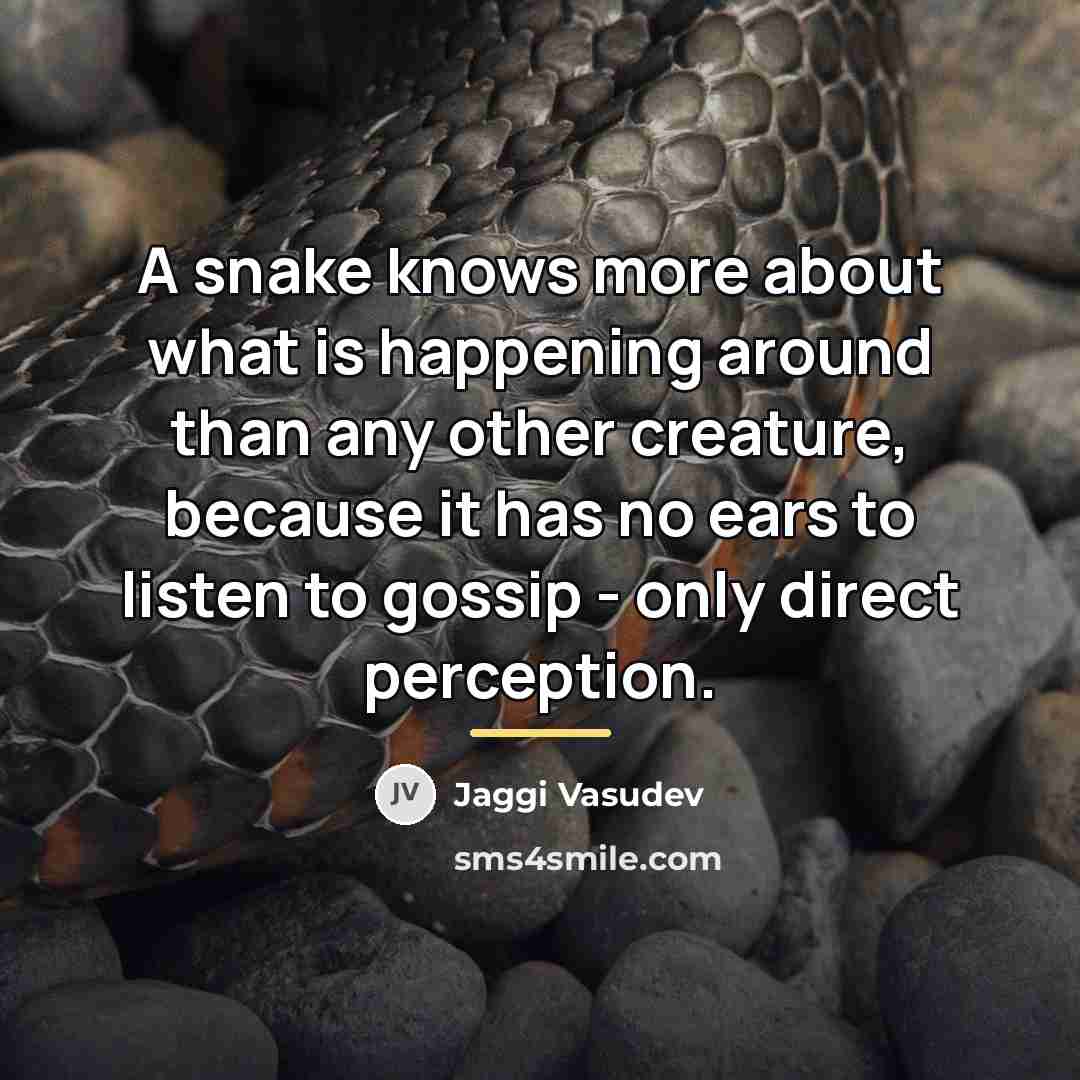 “A snake knows more about what is happening around than…” quote by Jaggi Vasudev