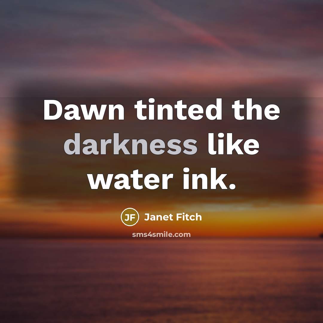 “Dawn tinted the darkness like water ink.…” quote by Janet Fitch