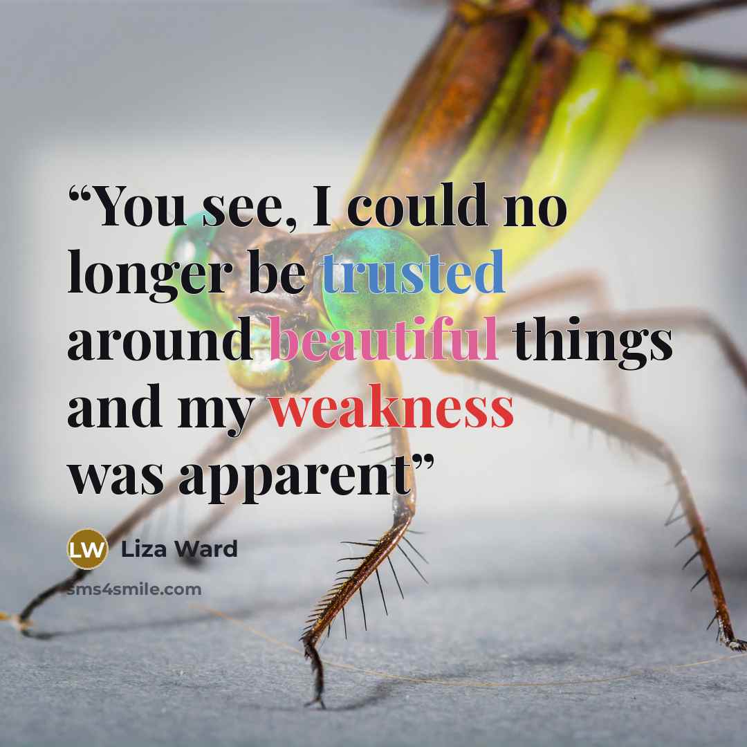 “You see, I could no longer be trusted around beautiful things and my weakness was apparent” quote by Liza Ward