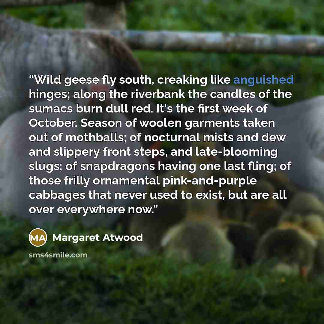 “Wild geese fly south, creaking like anguished hinges; along the riverbank the candles of the sumacs burn dull red. It's the first week of October. Season of woolen garments taken out of mothballs; of nocturnal mists and dew and slippery front steps, and late-blooming slugs; of snapdragons having…” quote by Margaret Atwood