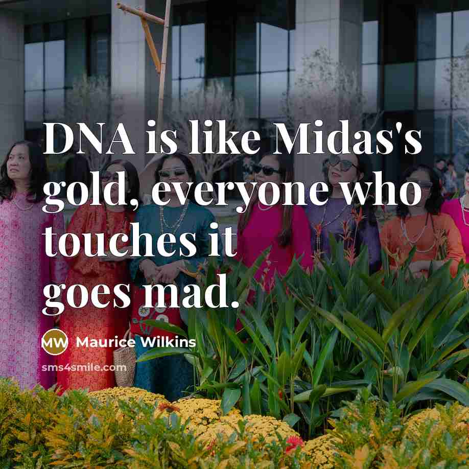 “DNA is like Midas's gold, everyone who touches it goes…” quote by Maurice Wilkins