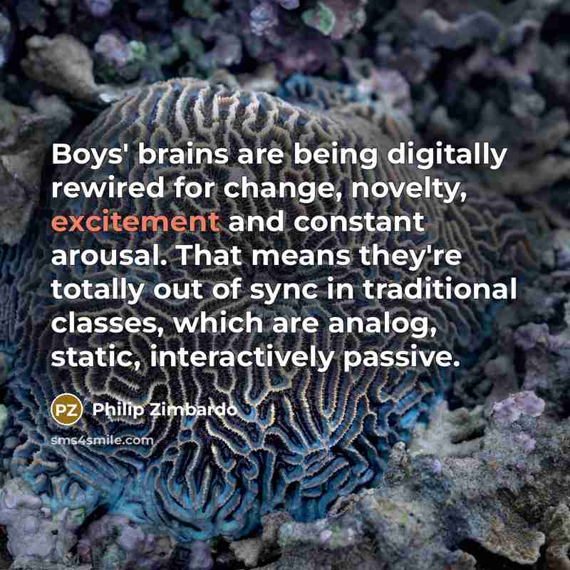 “Boys' brains are being digitally rewired for change, novelty, excitement…” quote by Philip Zimbardo
