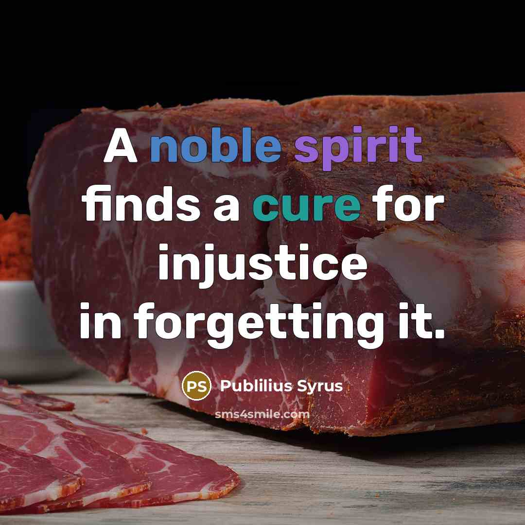 “A noble spirit finds a cure for injustice in forgetting…” quote by Publilius Syrus