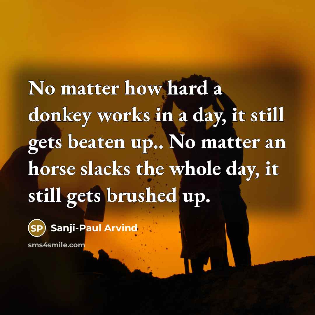 “No matter how hard a donkey works in a day,…” quote by Sanji-Paul Arvind