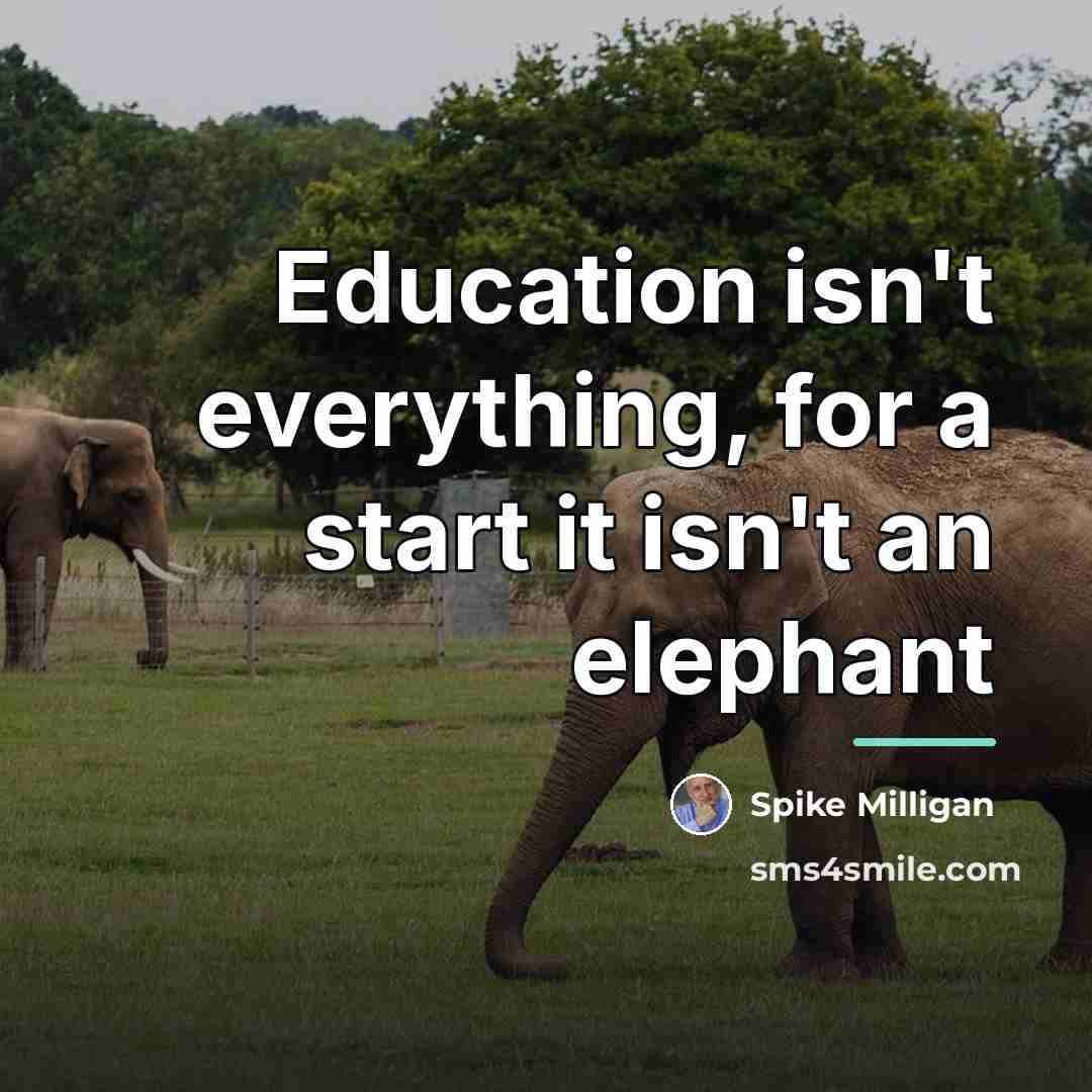 “Education isn't everything, for a start it isn't an elephant…” quote by Spike Milligan