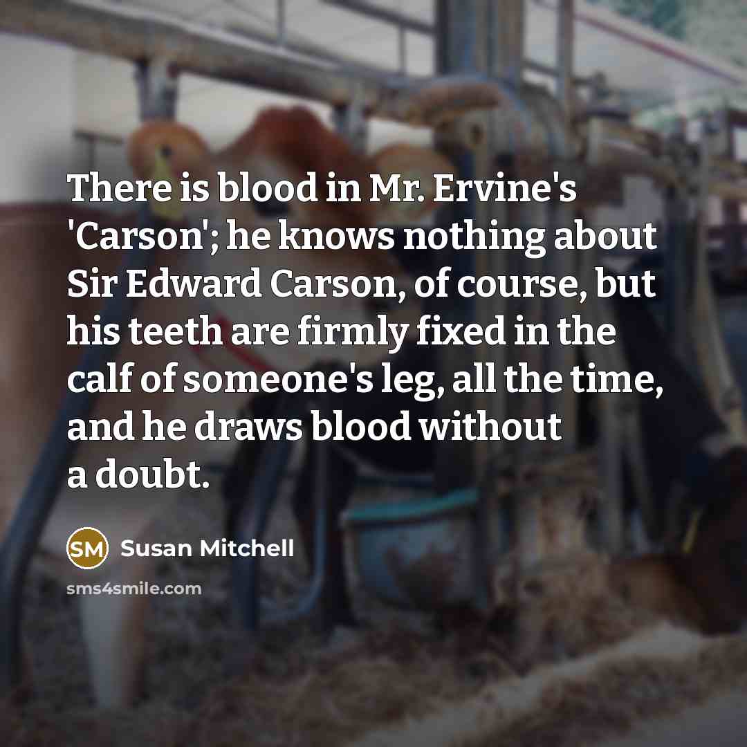 “There is blood in Mr. Ervine's 'Carson'; he knows nothing…” quote by Susan Mitchell
