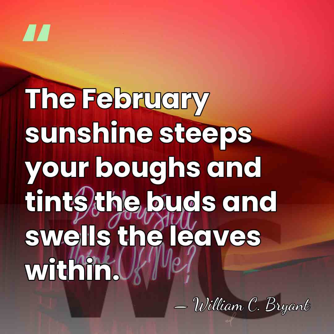 The February sunshine steeps your boughs and tints the buds and swells&hellip; - William C. Bryant
