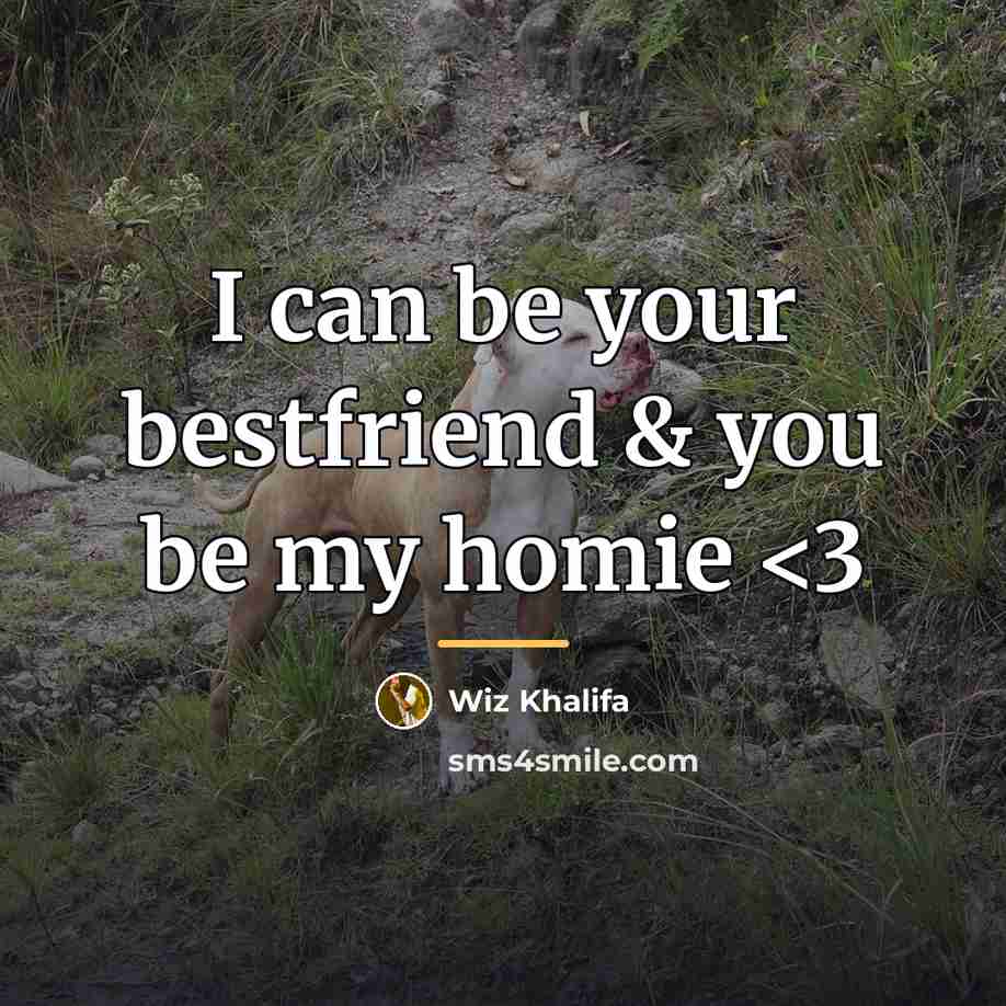 “I can be your bestfriend & you be my homie…” quote by Wiz Khalifa