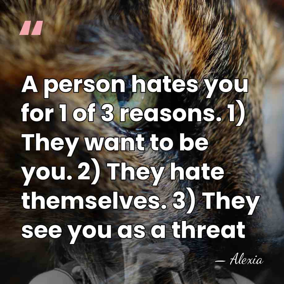 A person hates you for 1 of 3 reasons. 1) They want&hellip; - Alexia