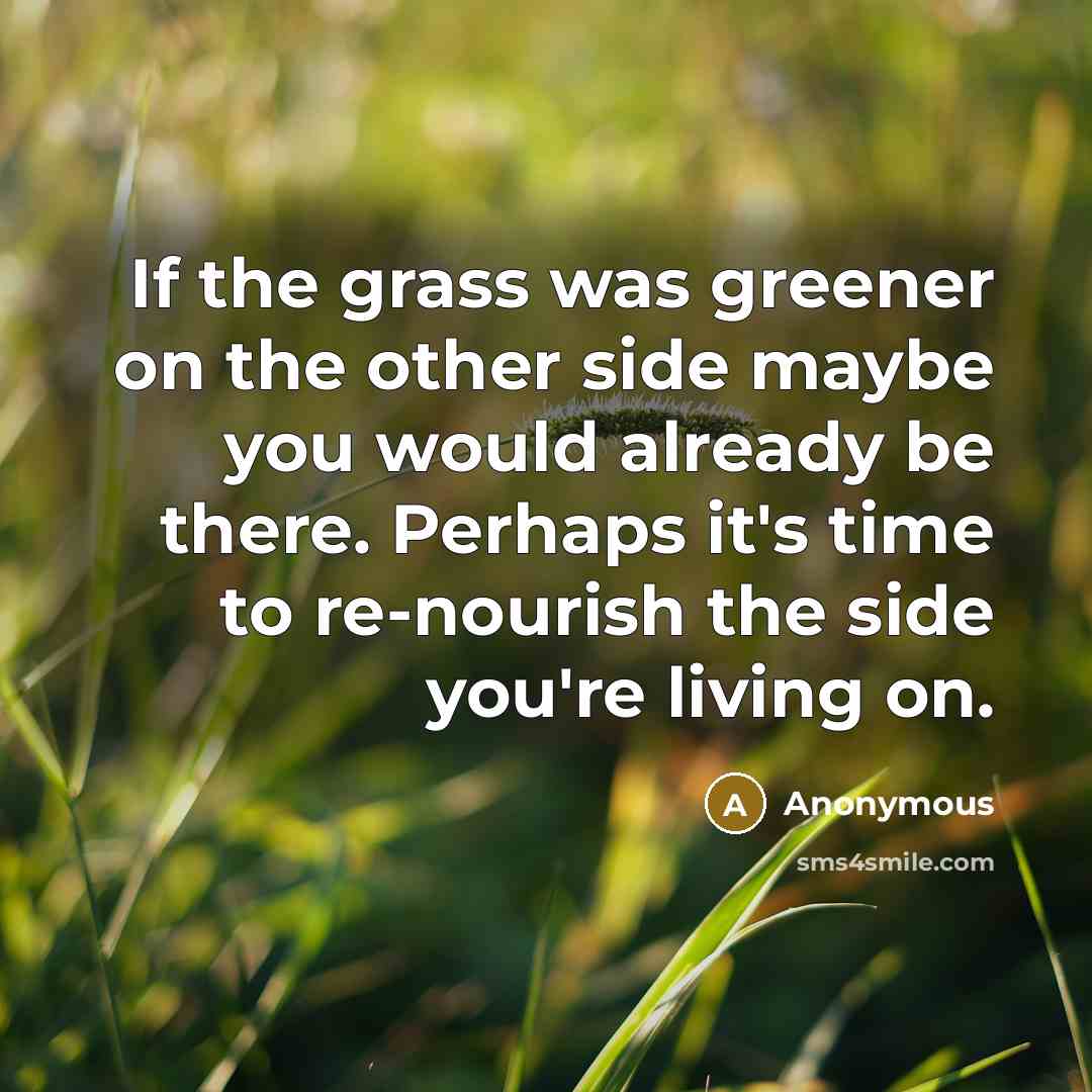 “If the grass was greener on the other side maybe you would already be there. Perhaps it's time to re-nourish the side you're living on.” quote by Anonymous