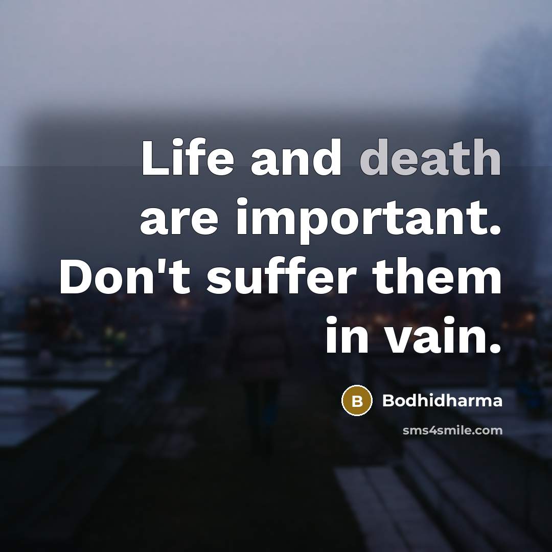 “Life and death are important. Don't suffer them in vain.…” quote by Bodhidharma