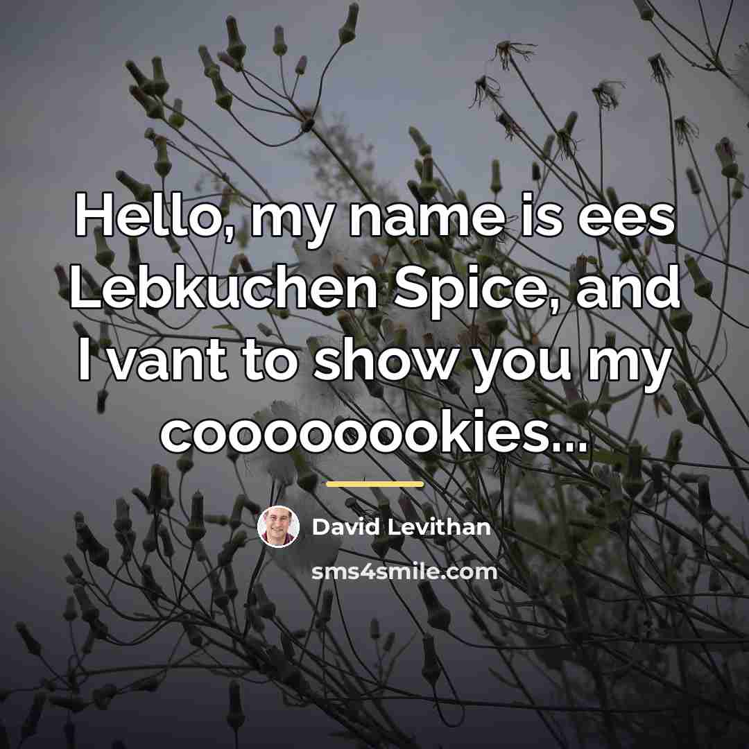 “Hello, my name is ees Lebkuchen Spice, and I vant…” quote by David Levithan