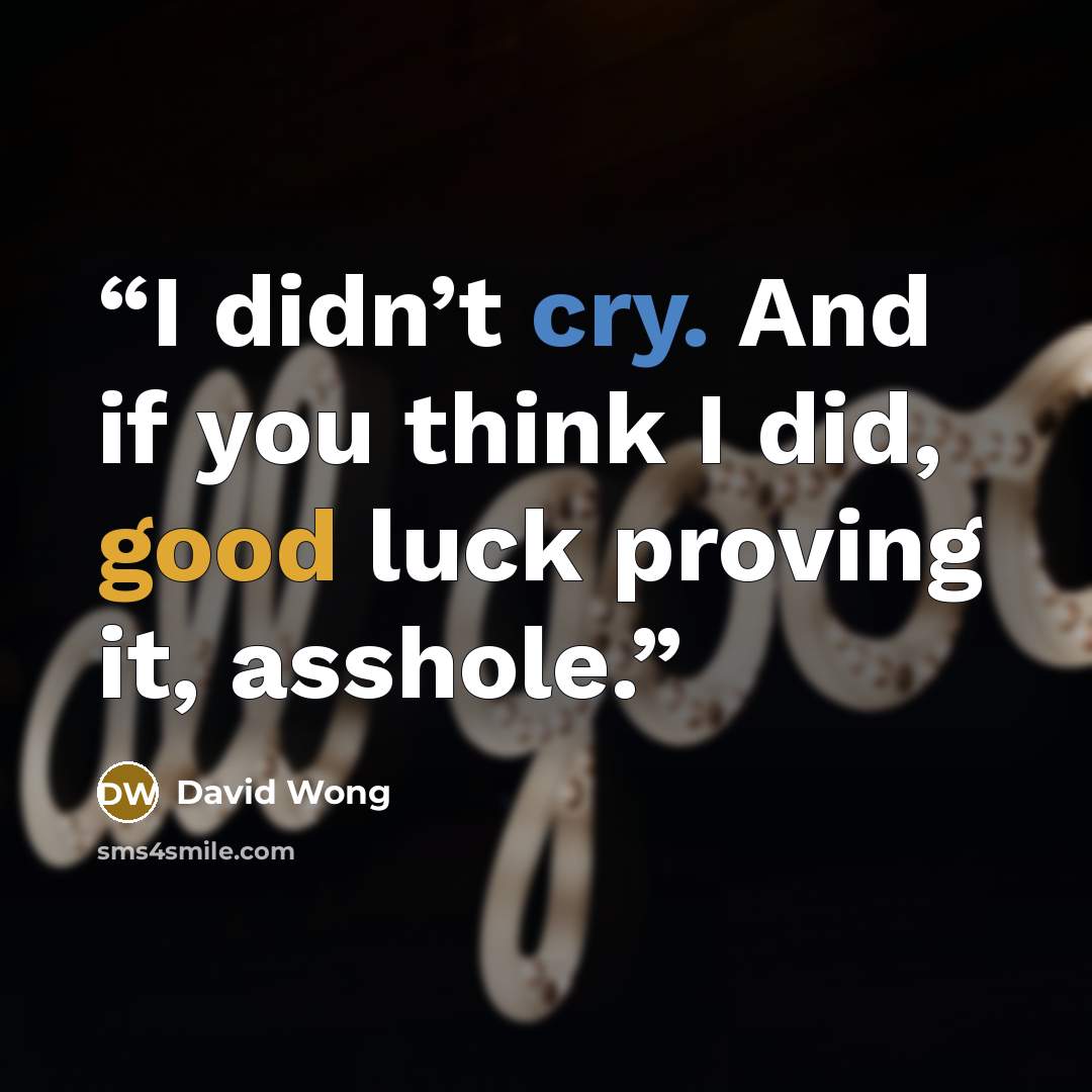 “I didn’t cry. And if you think I did, good luck proving it, asshole.” quote by David Wong