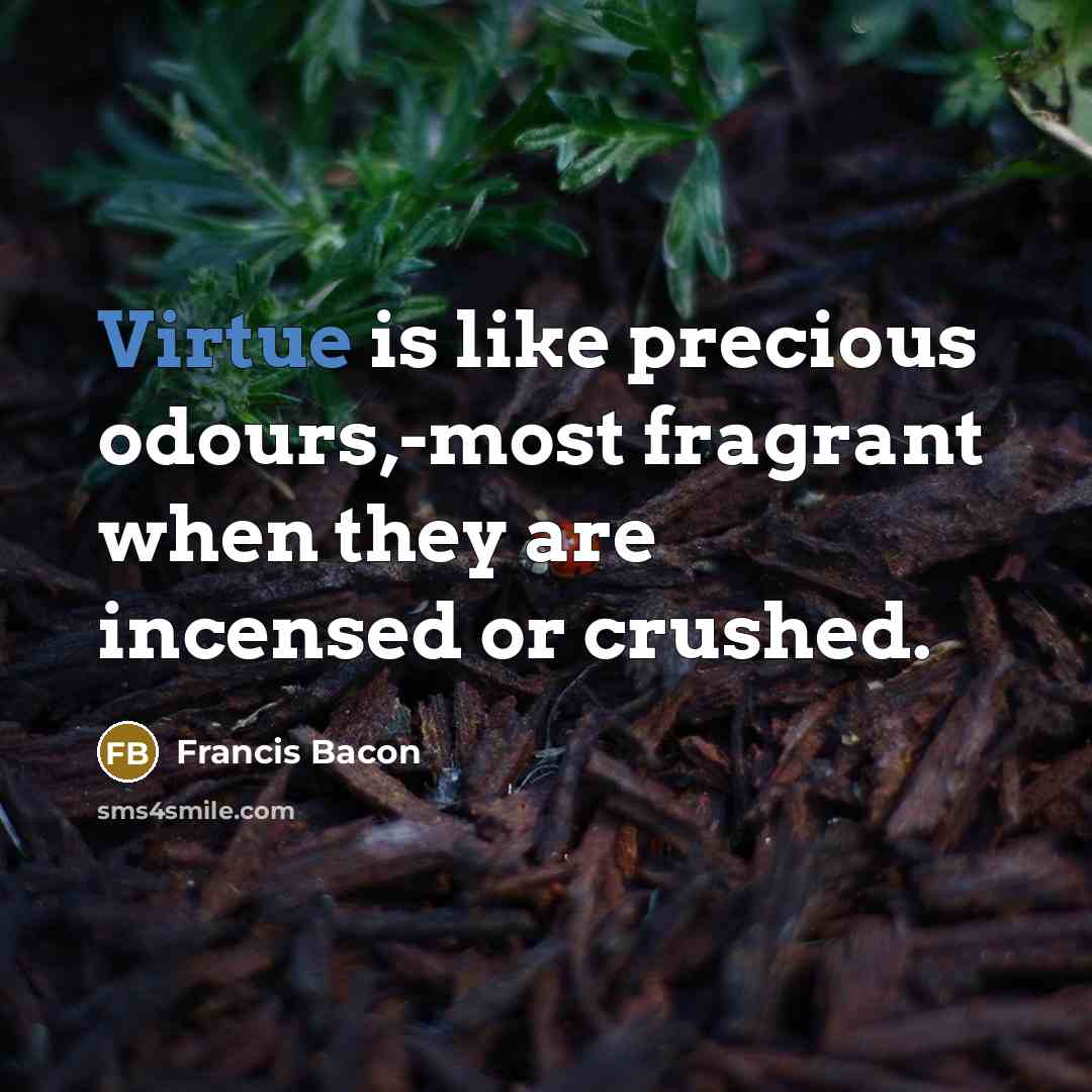 “Virtue is like precious odours,-most fragrant when they are incensed…” quote by Francis Bacon