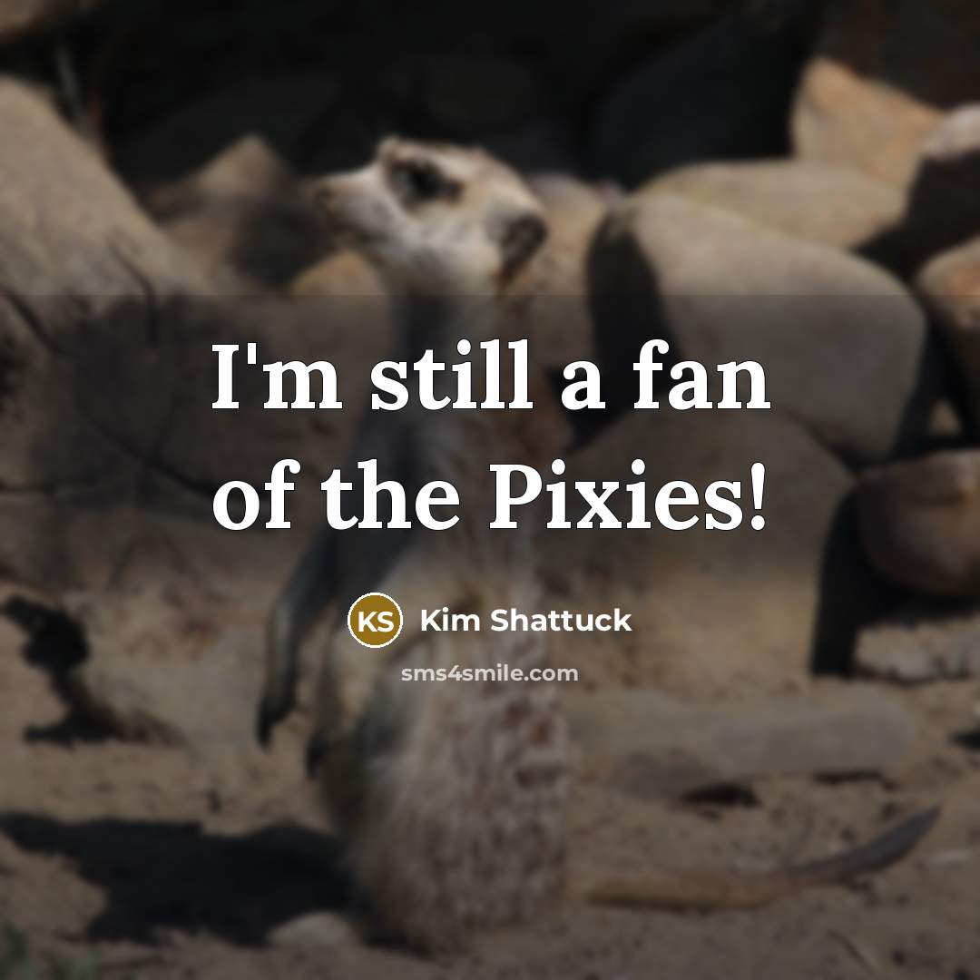 “I'm still a fan of the Pixies!…” quote by Kim Shattuck