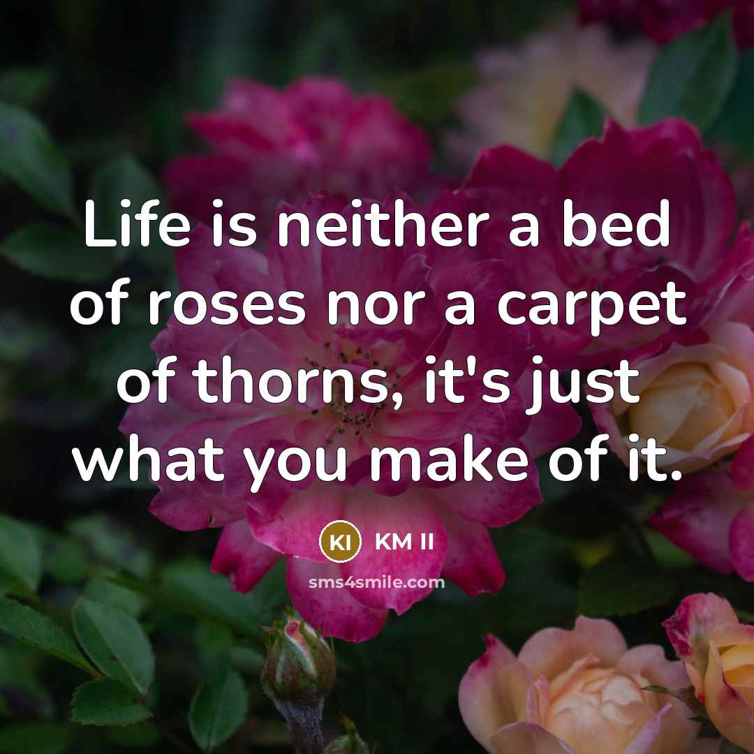 “Life is neither a bed of roses nor a carpet…” quote by KM II