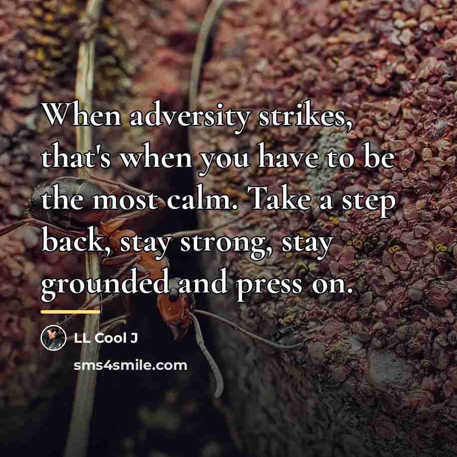 “When adversity strikes, that's when you have to be the…” quote by LL Cool J
