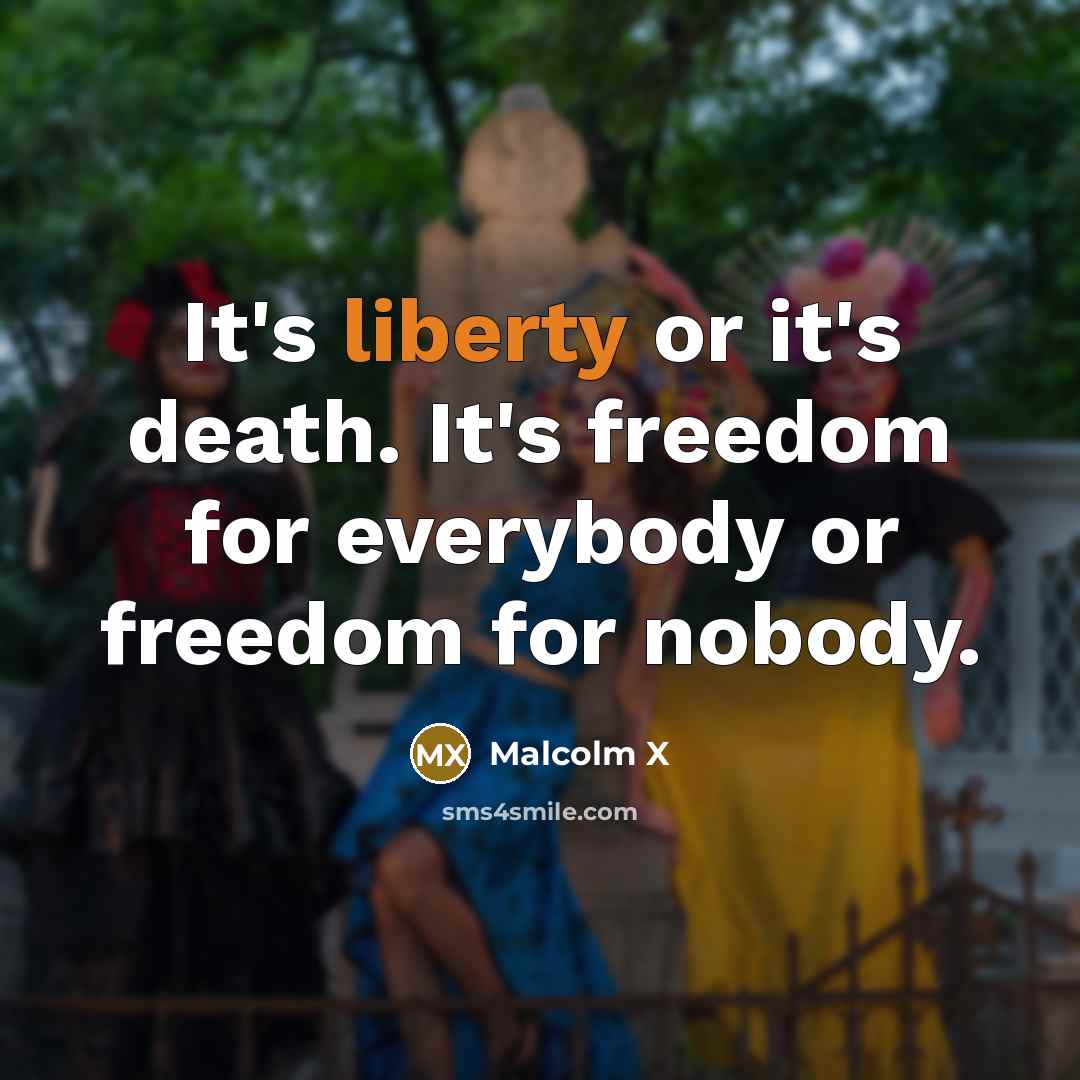“It's liberty or it's death. It's freedom for everybody or…” quote by Malcolm X