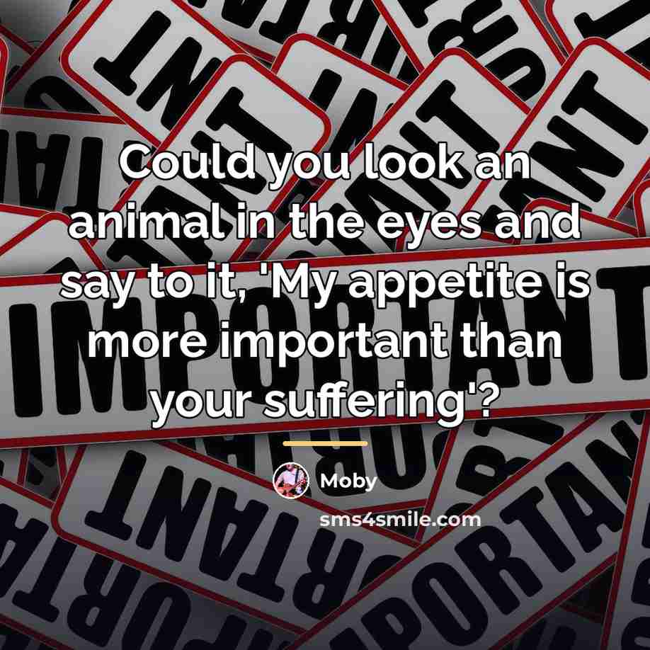 “Could you look an animal in the eyes and say…” quote by Moby