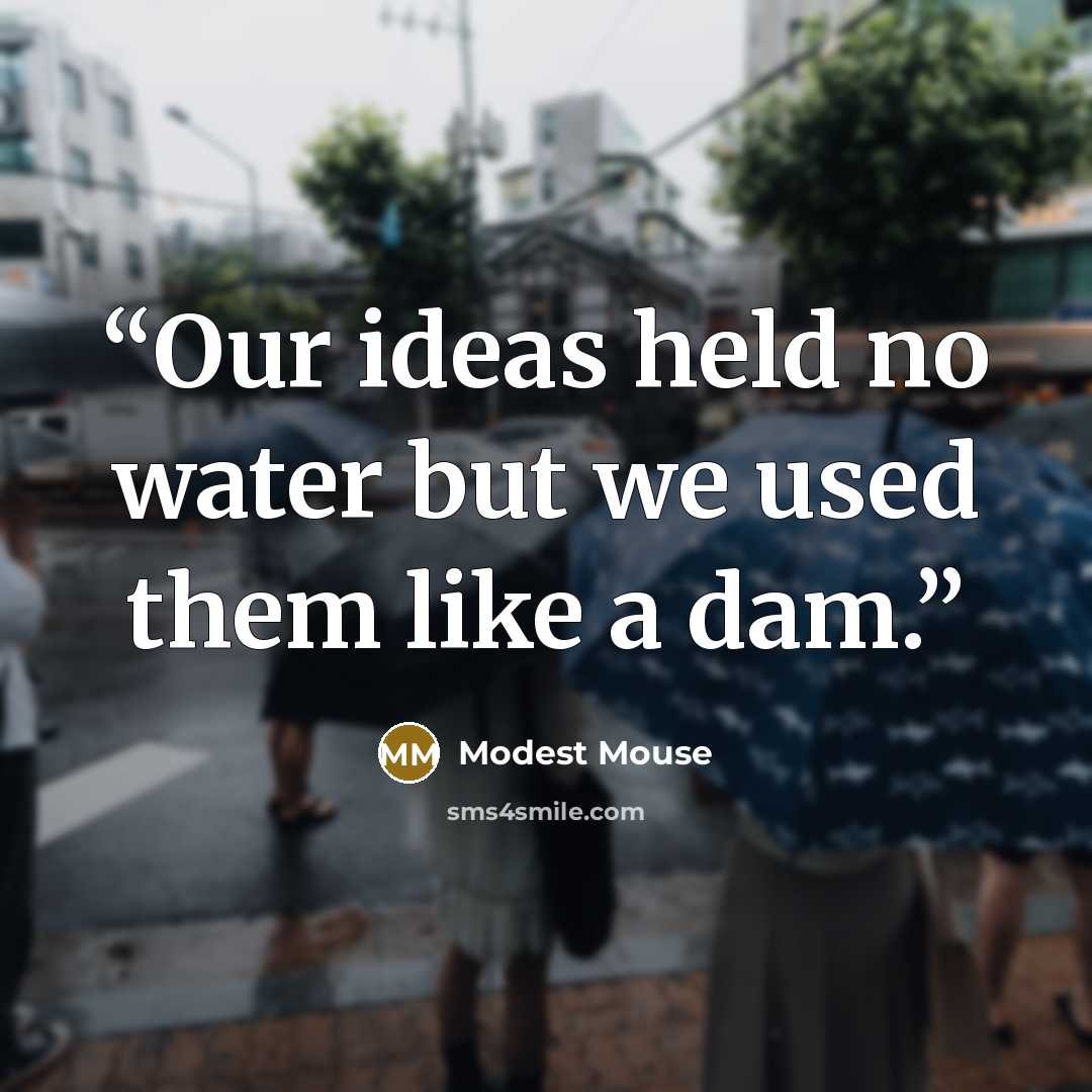 “Our ideas held no water but we used them like a dam.” quote by Modest Mouse