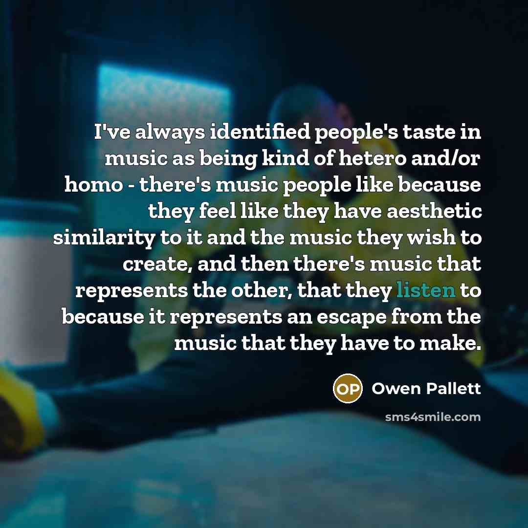 “I've always identified people's taste in music as being kind…” quote by Owen Pallett