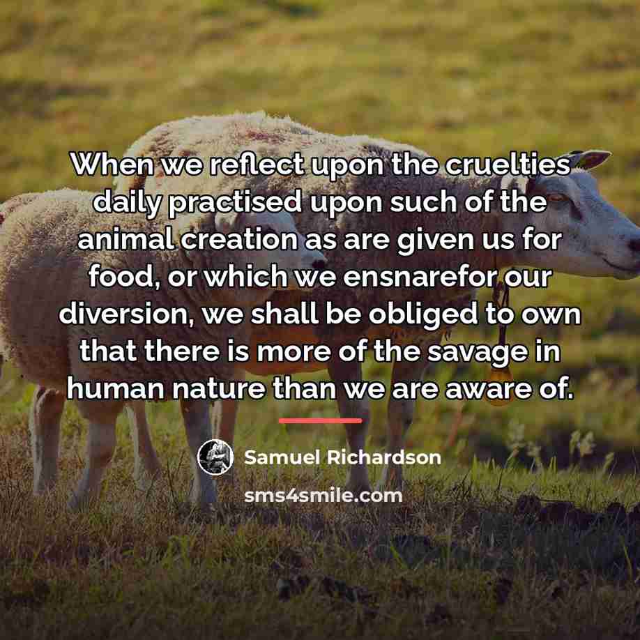 “When we reflect upon the cruelties daily practised upon such…” quote by Samuel Richardson
