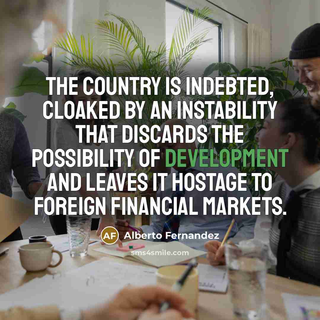 “The country is indebted, cloaked by an instability that discards…” quote by Alberto Fernandez