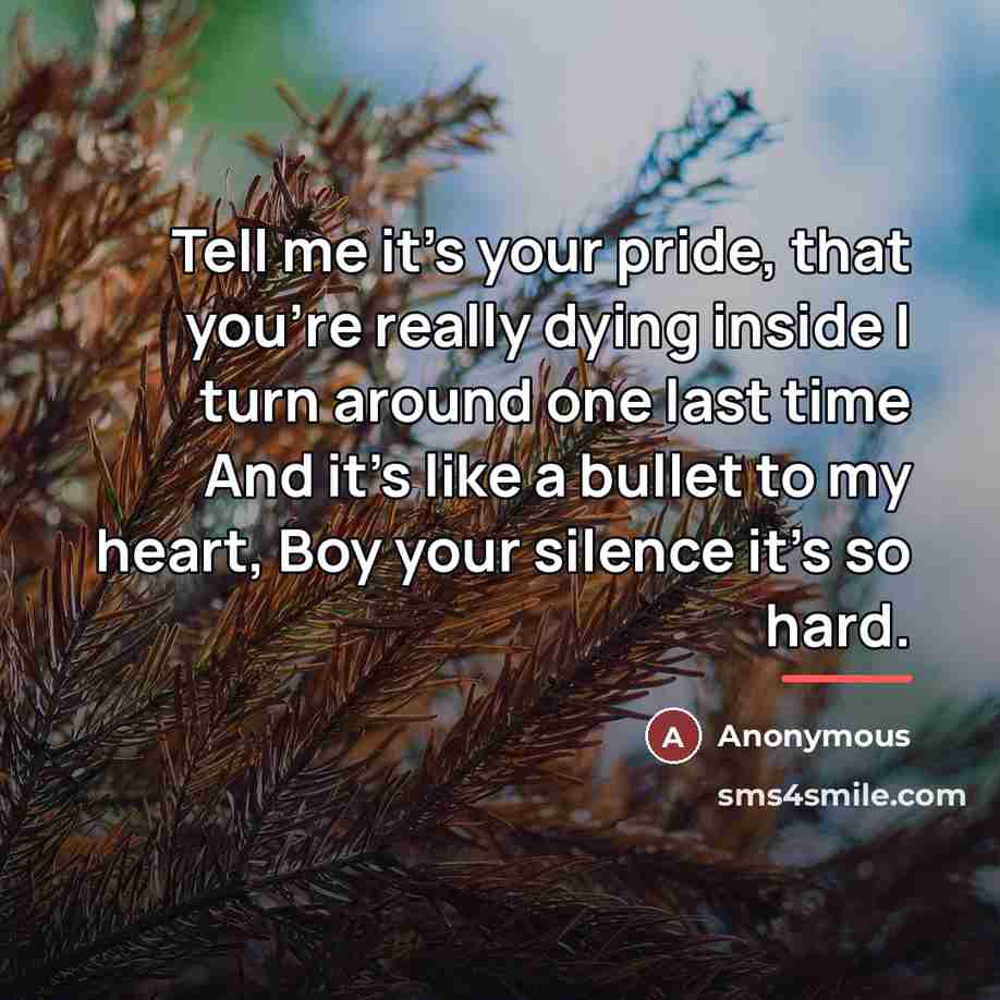 “Tell me it's your pride, that you're really dying inside…” quote by Anonymous
