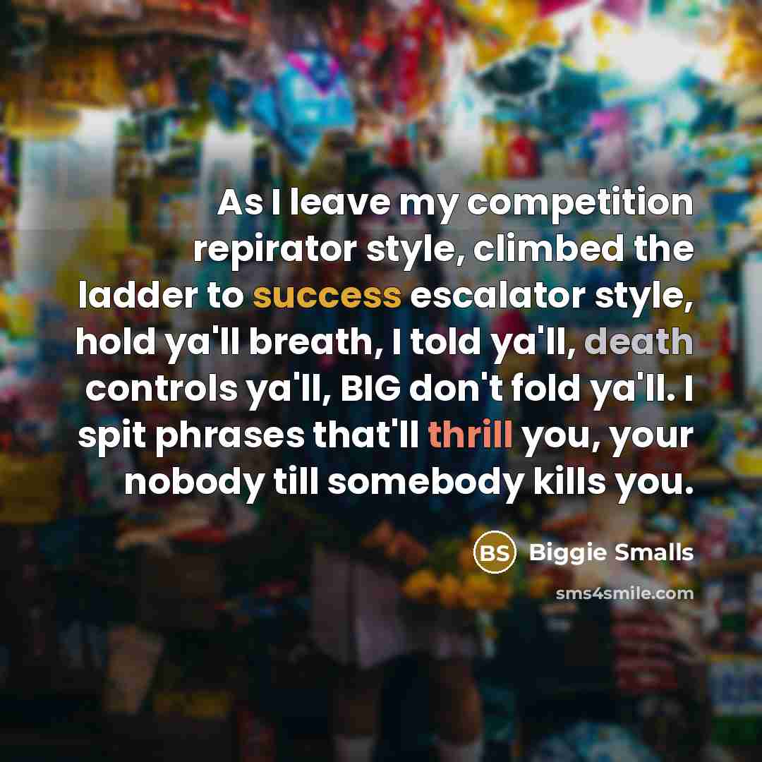 “As I leave my competition repirator style, climbed the ladder…” quote by Biggie Smalls