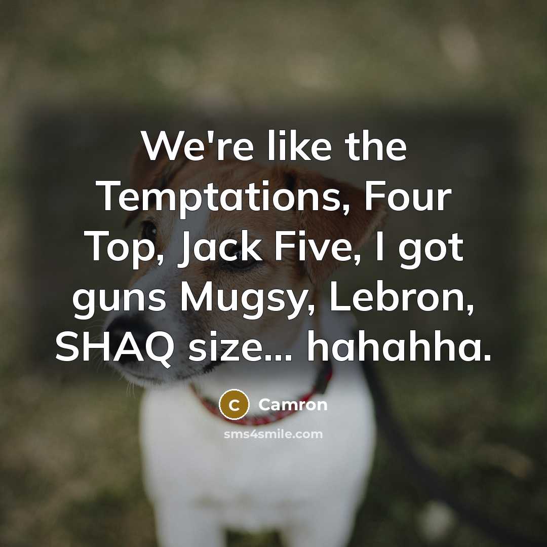 “We're like the Temptations, Four Top, Jack Five, I got guns Mugsy, Lebron, SHAQ size... hahahha.” quote by Camron