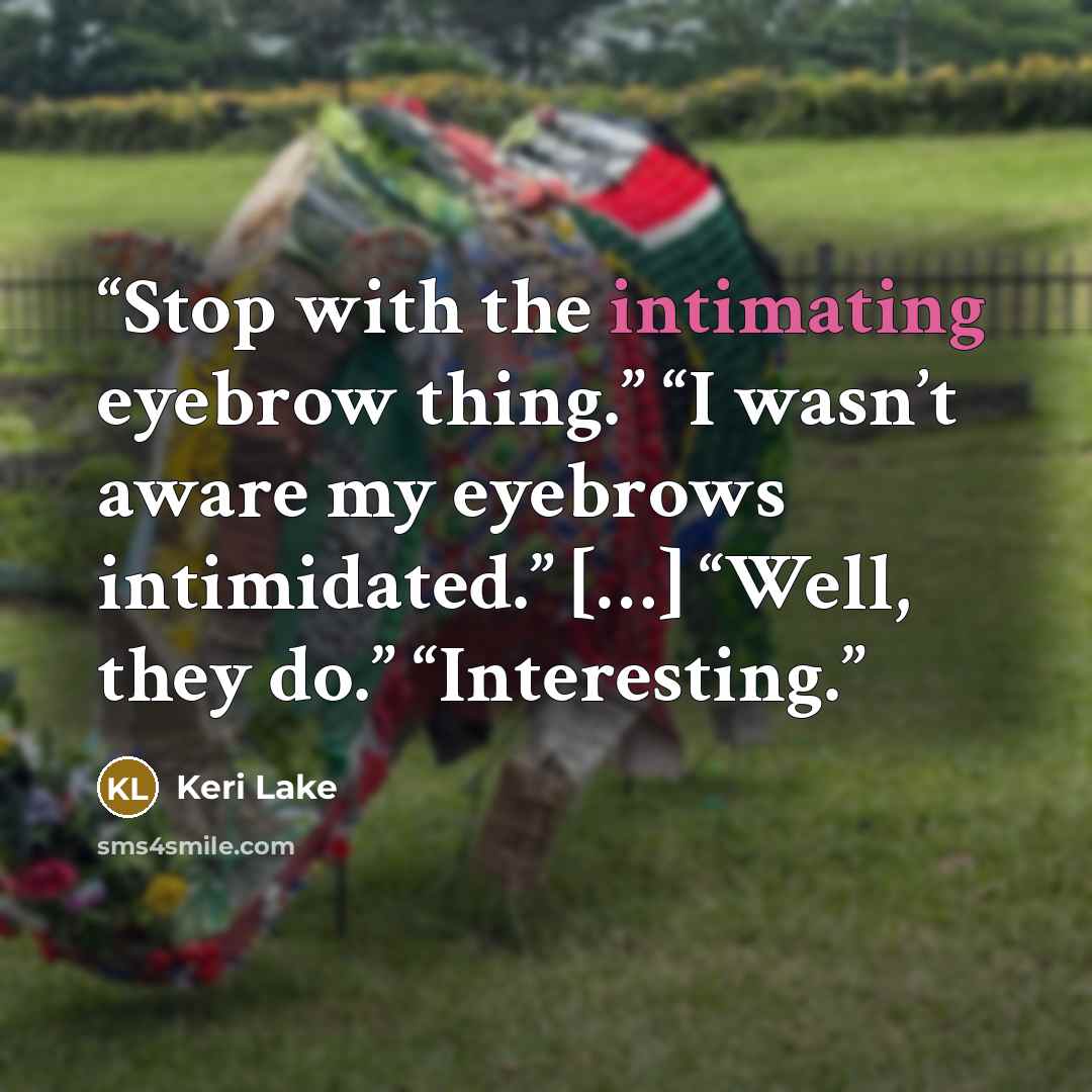 “Stop with the intimating eyebrow thing.” “I wasn’t aware my eyebrows intimidated.” […] “Well, they do.” “Interesting.” quote by Keri Lake