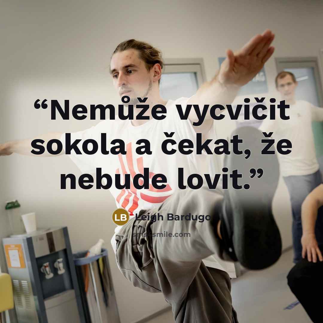 “Nemůže vycvičit sokola a čekat, že nebude lovit.” quote by Leigh Bardugo
