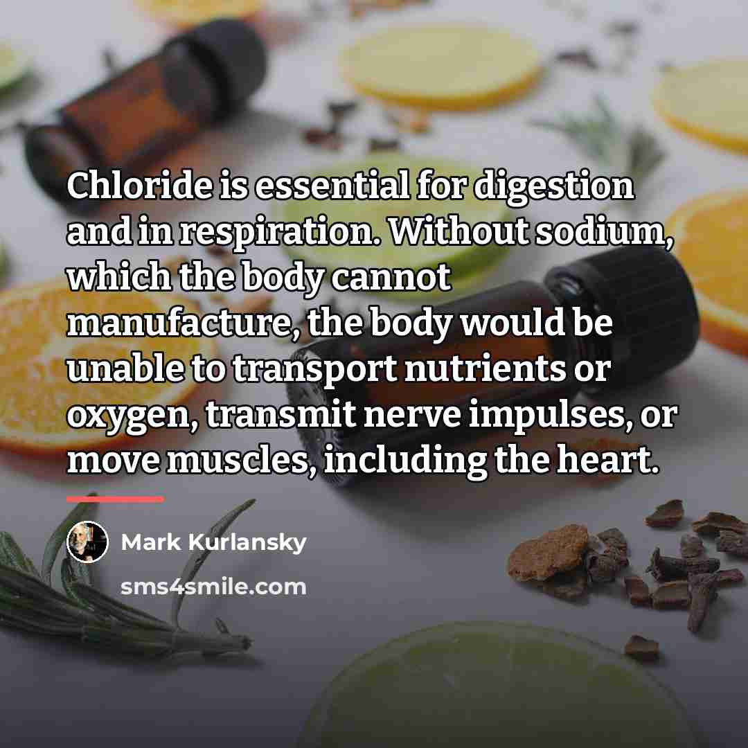 “Chloride is essential for digestion and in respiration. Without sodium,…” quote by Mark Kurlansky