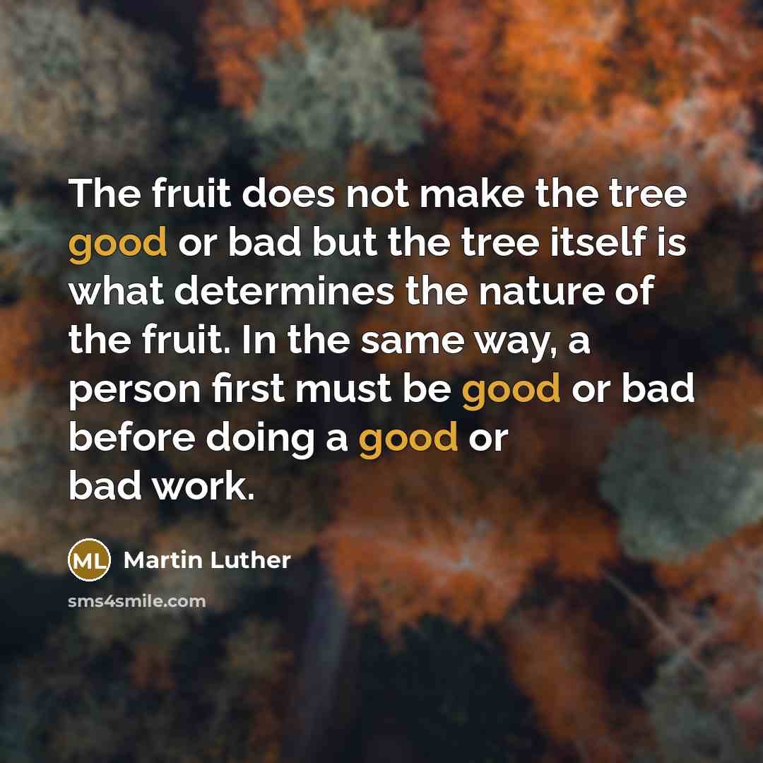 “The fruit does not make the tree good or bad…” quote by Martin Luther