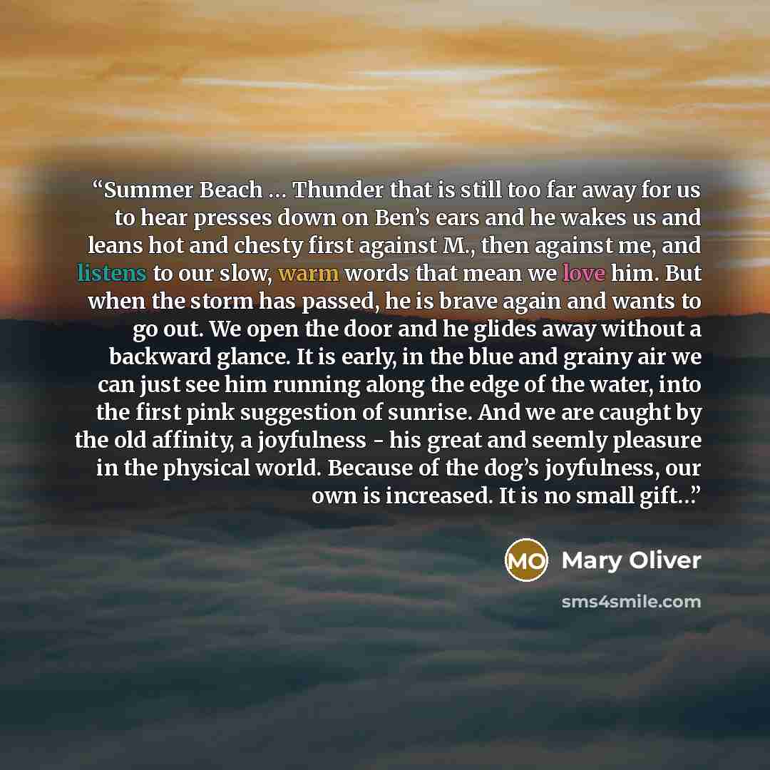 “Summer Beach … Thunder that is still too far away for us to hear presses down on Ben’s ears and he wakes us and leans hot and chesty first against M., then against me, and listens to our slow, warm words that mean we love him. But when the storm has passed, he is brave again and wants to go out…” quote by Mary Oliver