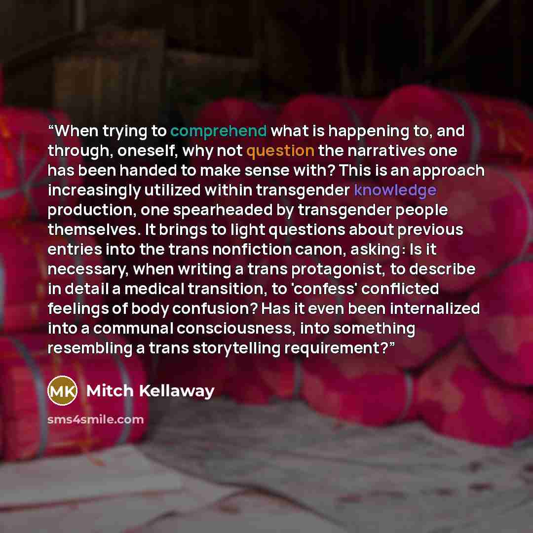 “When trying to comprehend what is happening to, and through, oneself, why not question the narratives one has been handed to make sense with? This is an approach increasingly utilized within transgender knowledge production, one spearheaded by transgender people themselves. It brings to light…” quote by Mitch Kellaway