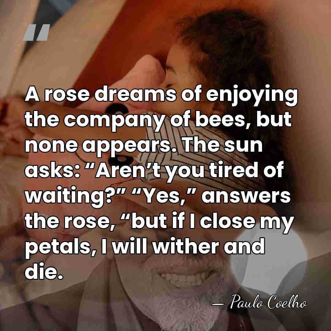A rose dreams of enjoying the company of bees, but none appears.&hellip; - Paulo Coelho