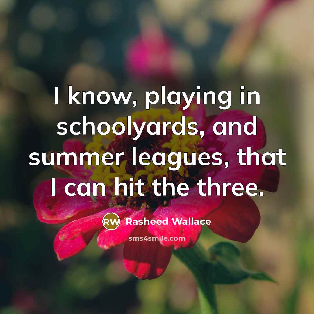 “I know, playing in schoolyards, and summer leagues, that I can hit the three.” quote by Rasheed Wallace