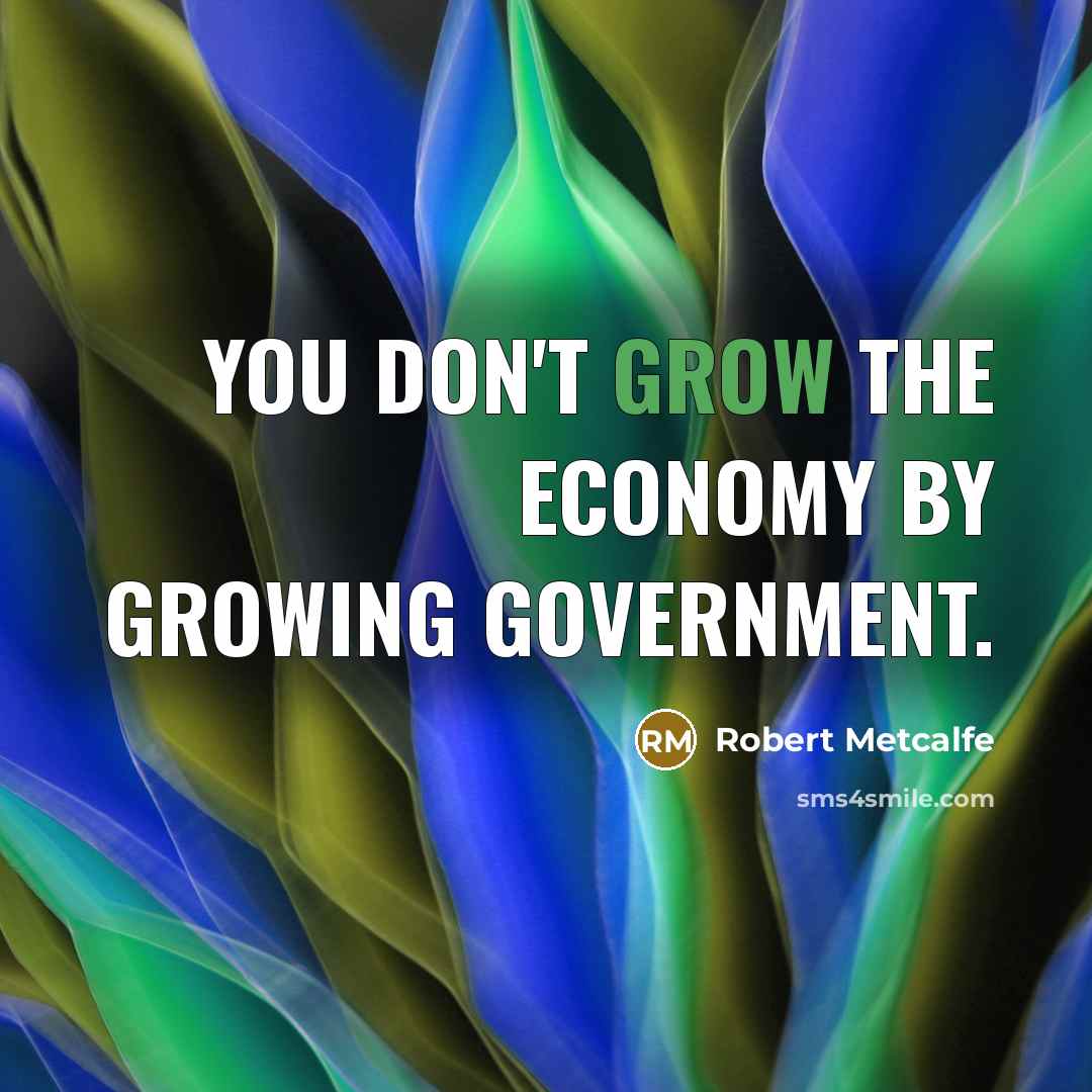 “You don't grow the economy by growing government.…” quote by Robert Metcalfe
