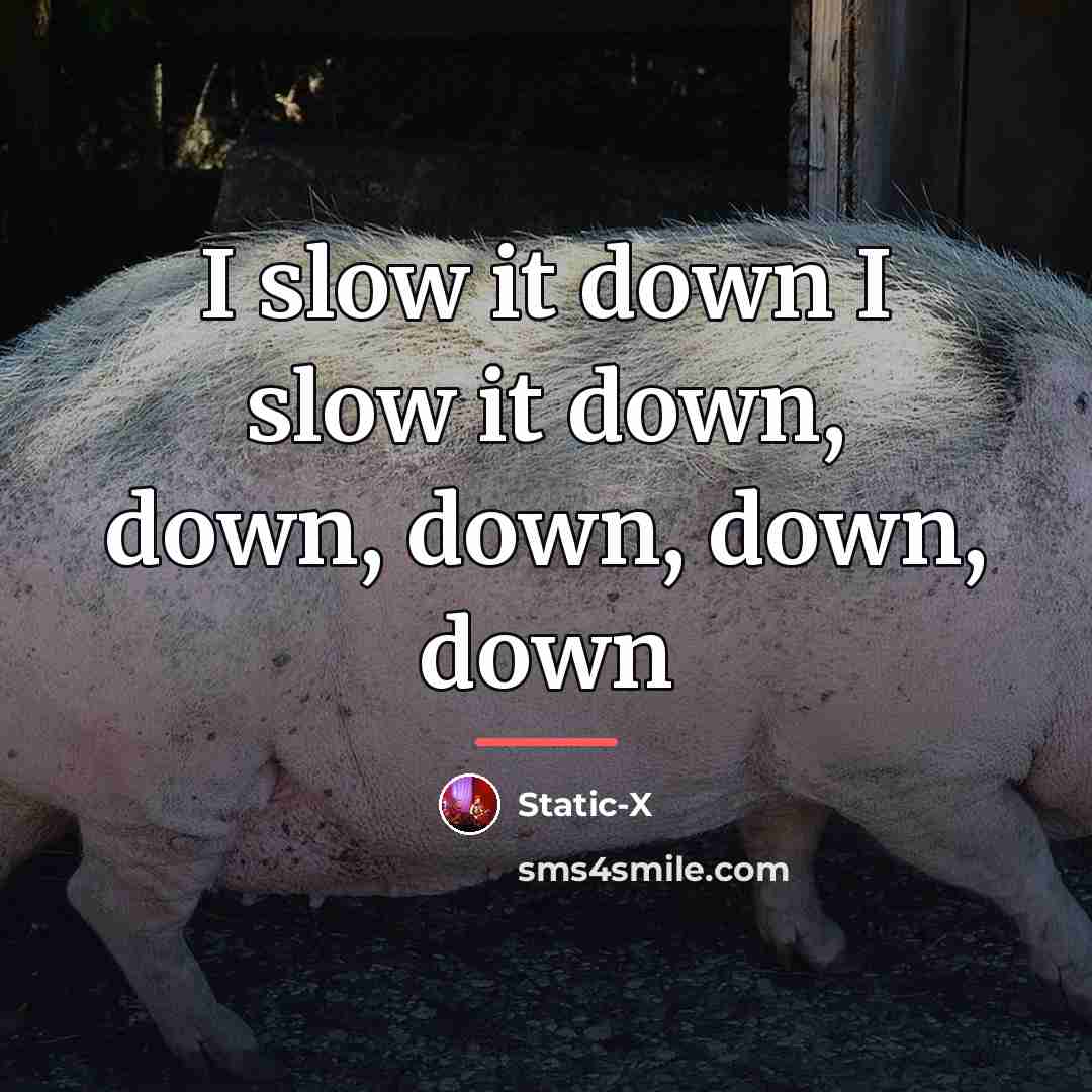 “I slow it down I slow it down, down, down,…” quote by Static-x