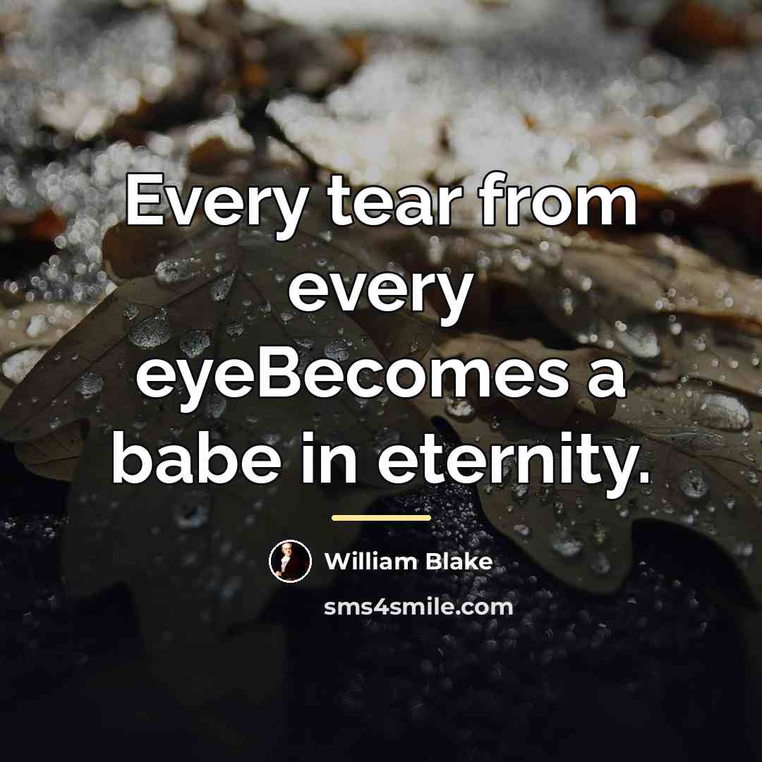“Every tear from every eyeBecomes a babe in eternity.…” quote by William Blake