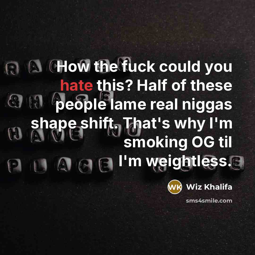 “How the fuck could you hate this? Half of these…” quote by Wiz Khalifa
