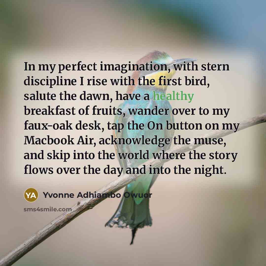 “In my perfect imagination, with stern discipline I rise with…” quote by Yvonne Adhiambo Owuor